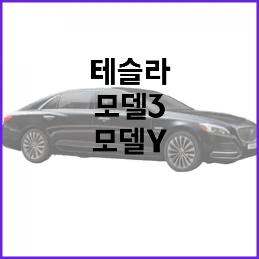 초보자를 위한 테슬…