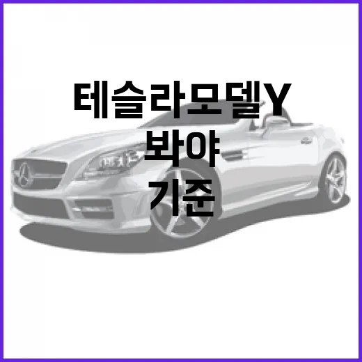 테슬라 모델Y 제대로 고르는 방법, 옵션보다 먼저 봐야 할 기준 - 요약