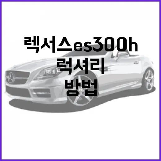 렉서스 ES300h 제대로 고르는 방법, 출퇴근용 럭셔리 세단이라면 이렇게 보세요 - 요약