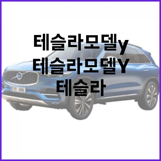 테슬라 모델Y 처음 사려면 이렇게 고르면 됩니다 - 요약