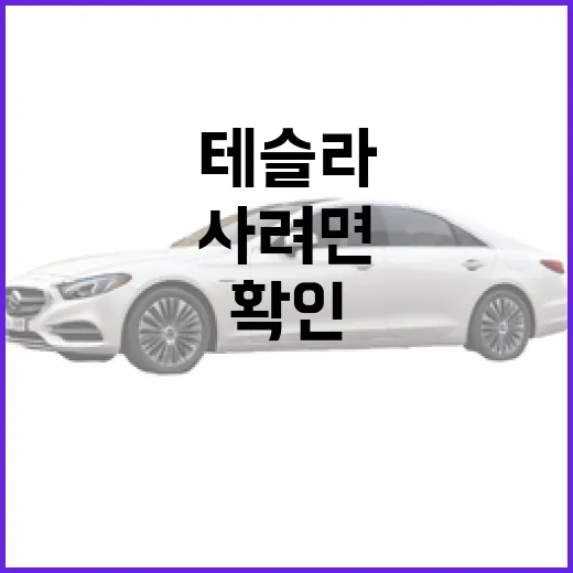 테슬라 처음 사려면 이렇게 확인하는 방법 - 요약