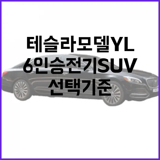 테슬라 모델 YL 사려면 이렇게 판단하세요: 6인승 전기 SUV 선택 기준 - 요약