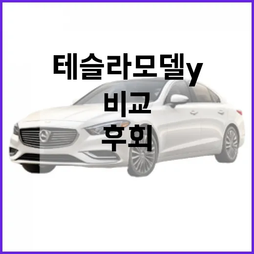 테슬라 모델Y 제대로 고르는 방법, 후회 줄이려면 이렇게 비교하세요 - 요약