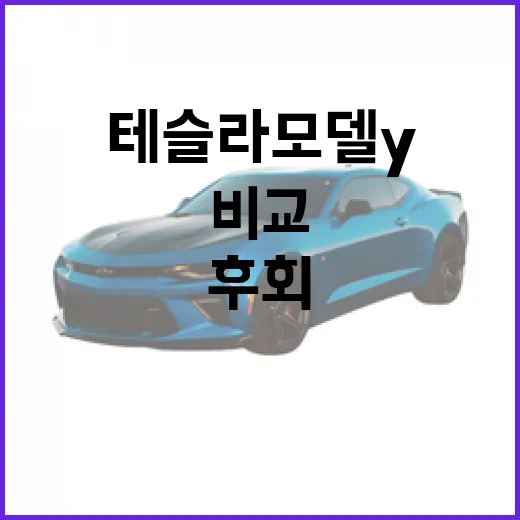 테슬라 모델Y 고르는 방법, 후회 줄이려면 이렇게 비교하세요 - 요약