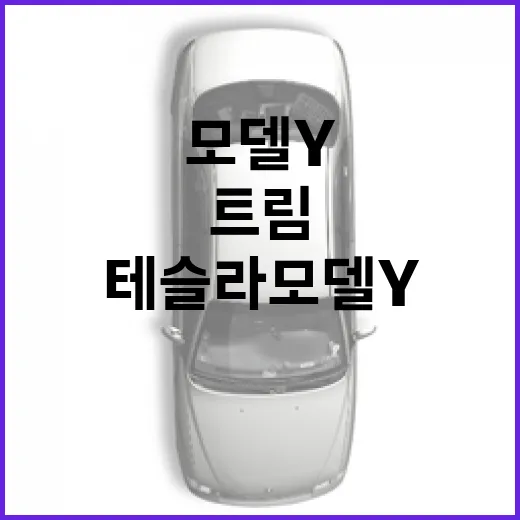 테슬라 모델Y 사려면 이렇게 비교하세요: 트림, 충전, 유지비 체크 방법 - 요약