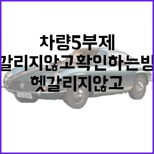 차량5부제 적용일 헷갈리지 않고 확인하는 방법 - 요약
