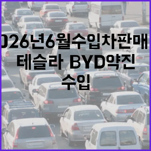 2026년 6월 수입차 판매량 읽는 방법, 테슬라·BYD 약진을 숫자로 보는 법 - 요약