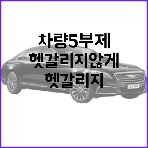 차량 5부제 헷갈리지 않게 확인하는 방법 - 요약