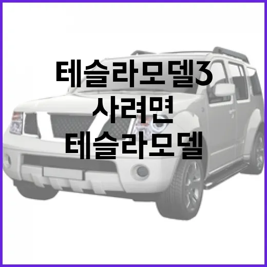 테슬라 모델3 처음 사려면 이렇게 고르면 됩니다 - 요약