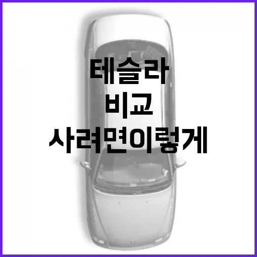 테슬라 처음 사려면 이렇게 비교하는 방법 - 요약
