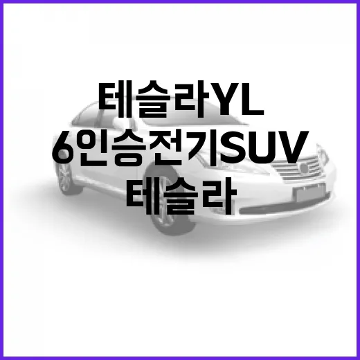 테슬라 yl 구매 전 따져봐야 할 6인승 전기 SUV 고르는 방법 - 요약