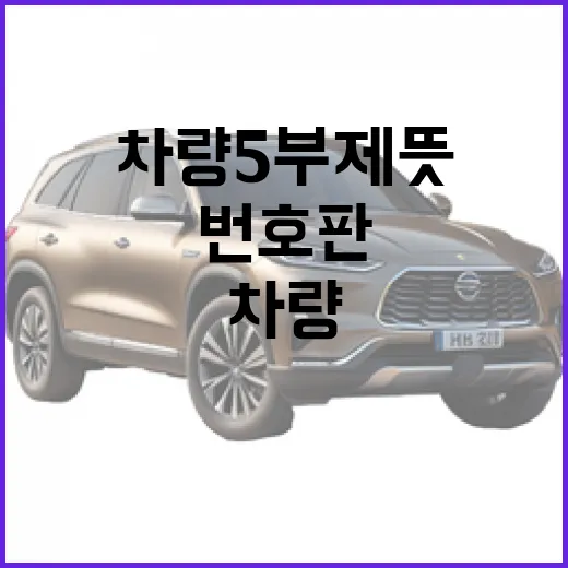 차량 5부제 뜻 헷갈릴 때 번호판으로 확인하는 방법 - 요약
