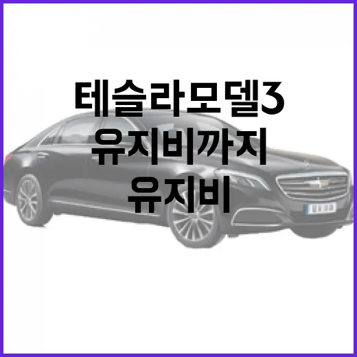 초보자를 위한 테슬라 모델3 고르는 방법: 트림, 충전, 유지비까지 이렇게 보세요 - 요약