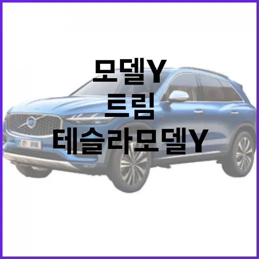 테슬라 모델Y 사기 전에 확인하는 방법, 트림부터 충전 생활까지 - 요약
