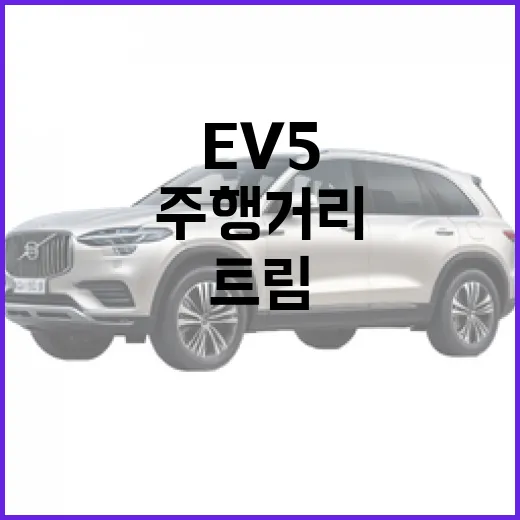 ev5 구매 전 확인하는 방법, 주행거리와 트림 선택 기준 - 요약
