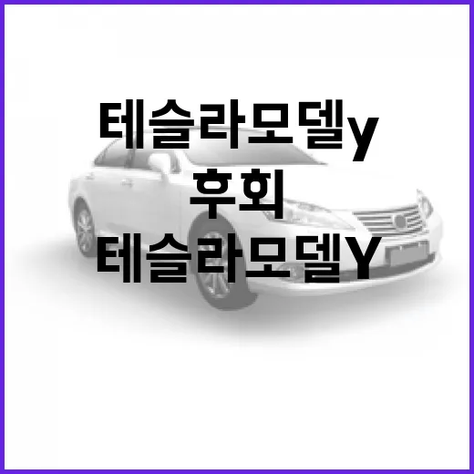 테슬라 모델Y 사려면 이렇게 따져야 후회가 적습니다 - 요약