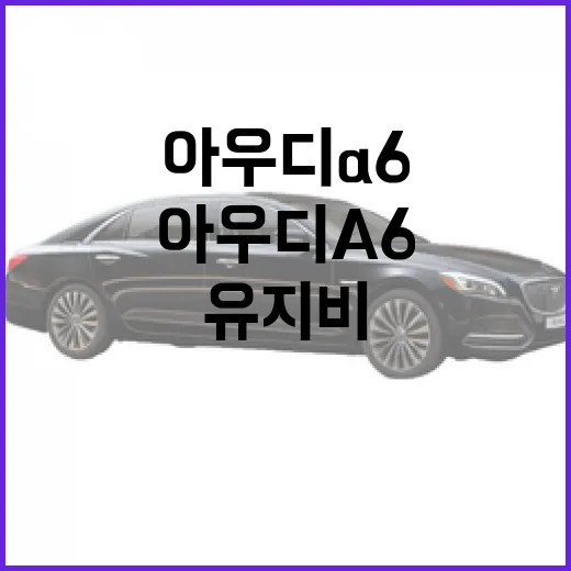 아우디 A6 고르려면 이렇게 보세요: 연식, 옵션, 유지비까지 현실 체크하는 방법 - 요약