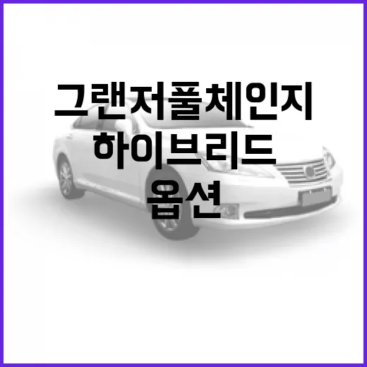 그랜져 풀체인지 고르려면 이렇게 비교하세요: 하이브리드부터 옵션까지 - 요약