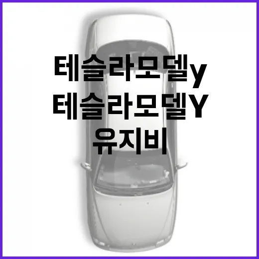 테슬라 모델Y 사려면 이렇게 고르면 됩니다: 트림, 충전, 유지비 체크 방법 - 요약