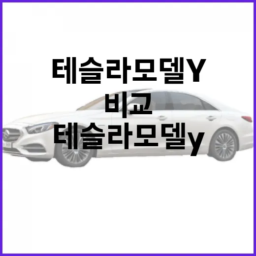 테슬라 모델Y 고르려면 이렇게 비교하면 됩니다 - 요약