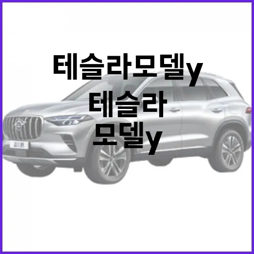 테슬라 모델Y 처음 사려면 이렇게 고르세요 - 요약