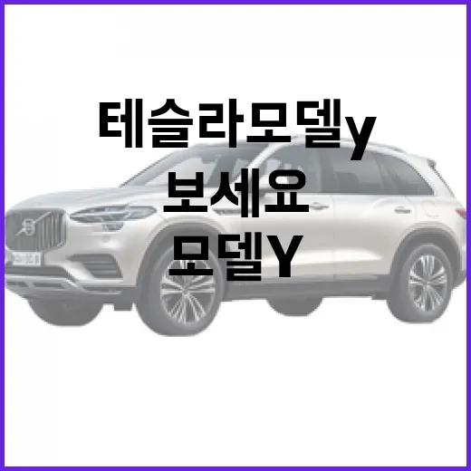 테슬라 모델Y 고르려면 이렇게 보세요: 트림, 충전, 유지비까지 현실적인 선택 방법 - 요약