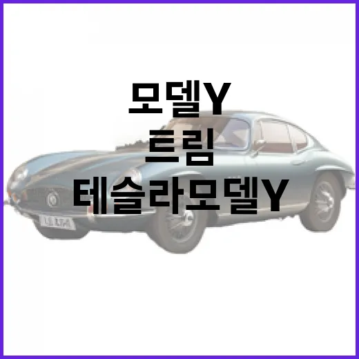 테슬라 모델Y 고르려면 이렇게 보면 됩니다: 트림, 충전, 유지비까지 현실 체크하는 방법 - 요약