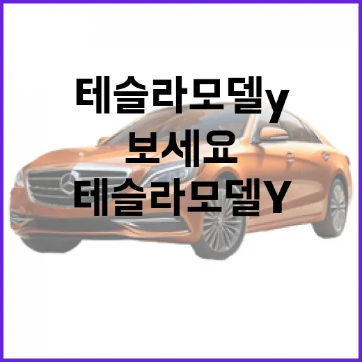 테슬라 모델Y 고르려면 이렇게 보세요: 트림, 주행거리, 충전, 유지비 판단법 - 요약