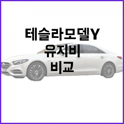 테슬라 모델Y 사려면 이렇게 비교하세요: 트림, 충전, 유지비까지 보는 방법 - 요약