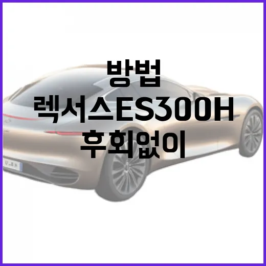 렉서스 ES300h 초보자가 후회 없이 고르는 방법 - 요약