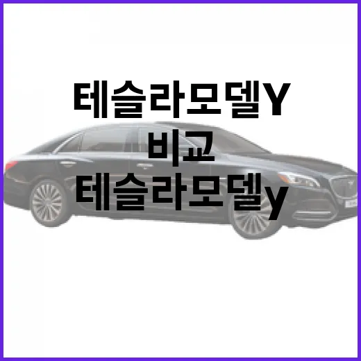 테슬라 모델Y 처음 고르려면 이렇게 비교하면 됩니다 - 요약