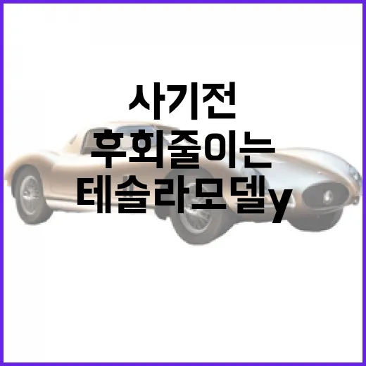 테슬라 모델Y 사기 전에 후회 줄이는 선택 방법 - 요약