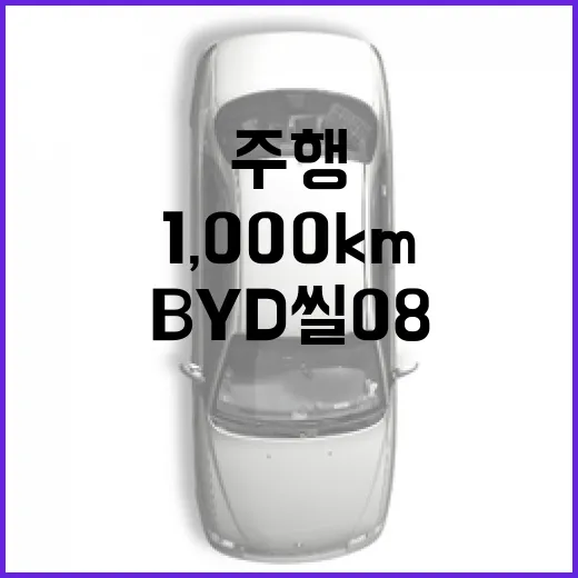 BYD 씰 08로 1,000km 주행하려면 이렇게 봐야 합니다 - 요약