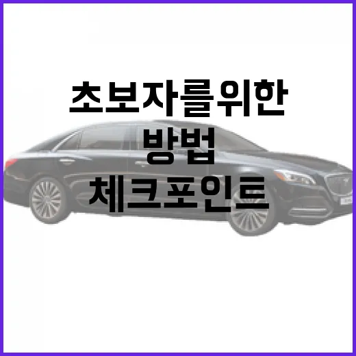 초보자를 위한 해치백 고르는 방법, 장점부터 구매 체크포인트까지 - 요약
