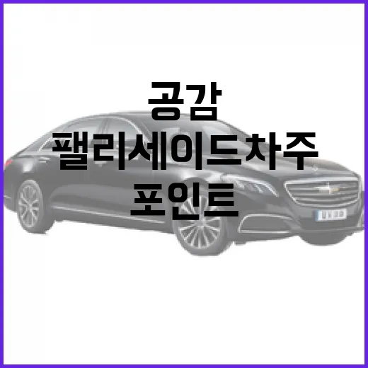 팰리세이드 차주가 공감하는 포인트, 오래 타려면 이렇게 보면 됩니다 - 요약