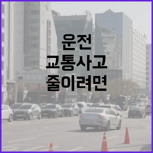 삼척 교통사고를 줄이려면 이렇게 운전하세요 - 요약