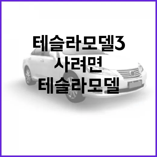 테슬라 모델3 처음 사려면 이렇게 고르면 됩니다 - 요약