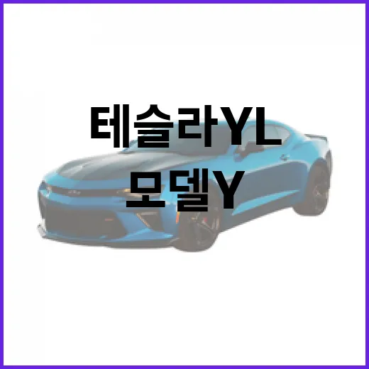 테슬라yl 선택하는 방법, 5인승 모델 Y와 6인승 Y L 이렇게 비교하면 쉽습니다 - 요약