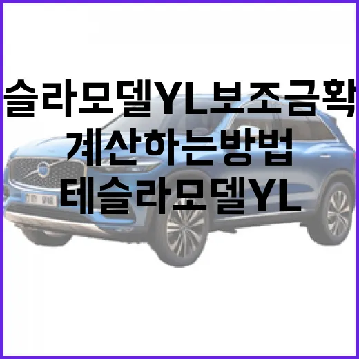 테슬라 모델 YL 보조금 확정 후 실제 구매가 계산하는 방법 - 요약