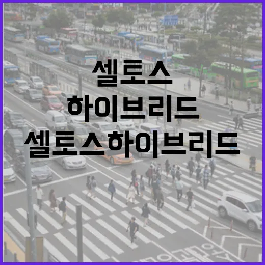셀토스하이브리드 고르려면 이렇게 따져보는 방법 - 요약