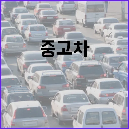K5 중고차·신차 고르려면 이렇게 보세요 - 요약