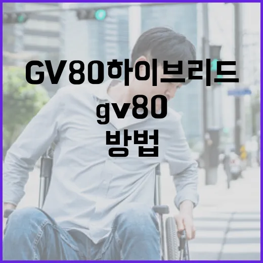 GV80하이브리드 기다리는 사람이라면 이렇게 판단하는 방법 - 요약