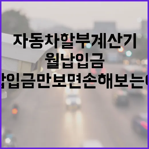 자동차할부계산기 제대로 쓰는 방법, 월 납입금만 보면 손해 보는 이유 - 요약