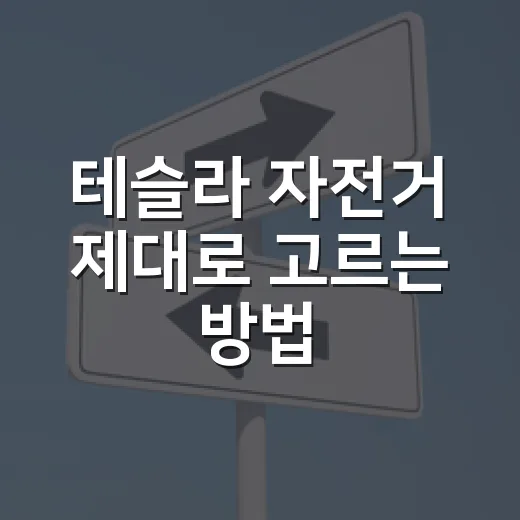 테슬라 자전거 제대로 고르는 방법, 공식 제품과 전기자전거 혼동 피하려면 이렇게 - 요약