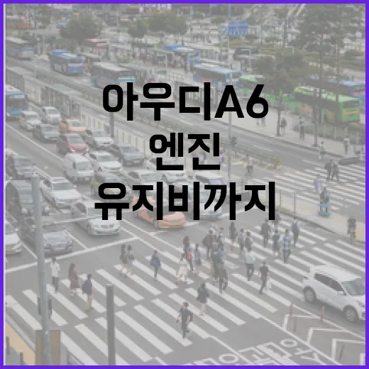 아우디A6 고르려면 이렇게 봐야 합니다: 엔진, 옵션, 유지비까지 초보자 가이드 - 요약