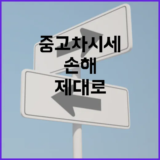 중고차시세 제대로 확인하는 방법, 초보자는 이렇게 비교하면 덜 손해 봅니다 - 요약