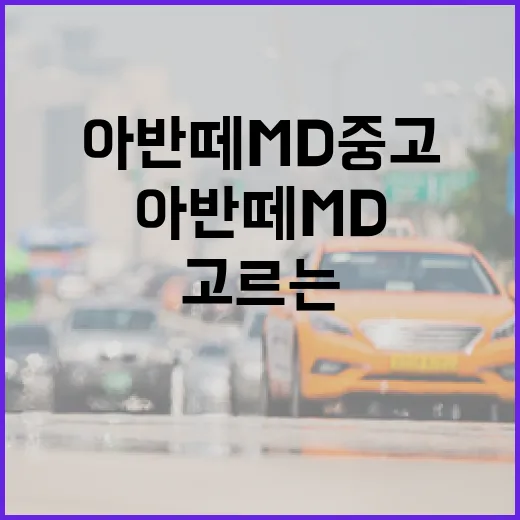 아반떼MD 중고로 고르는 방법, 초보자가 놓치기 쉬운 포인트 - 요약