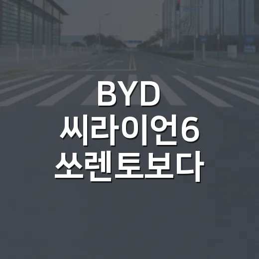 BYD 씨라이언6 쏘렌토보다 200만원 저렴하게 고르는 방법 - 요약