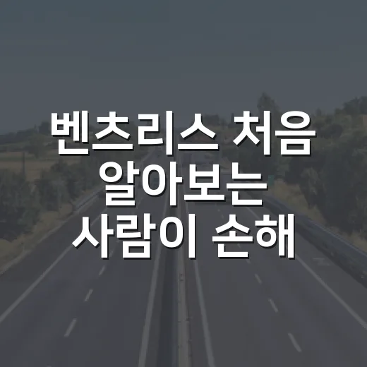 벤츠리스 처음 알아보는 사람이 손해 줄이는 방법 - 요약