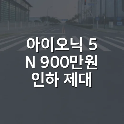아이오닉 5 N 900만원 인하 제대로 보는 방법 - 요약